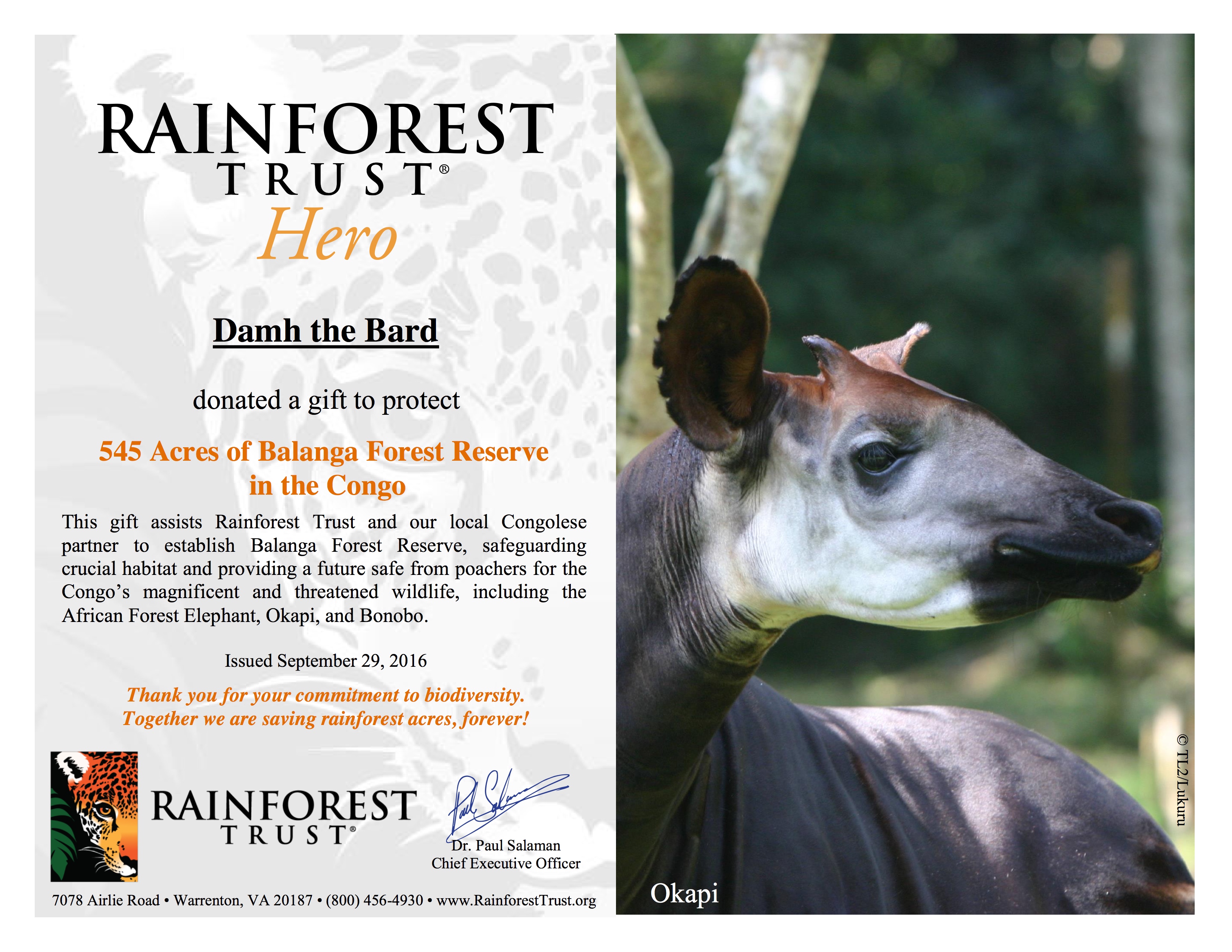 Good News for the Rainforest